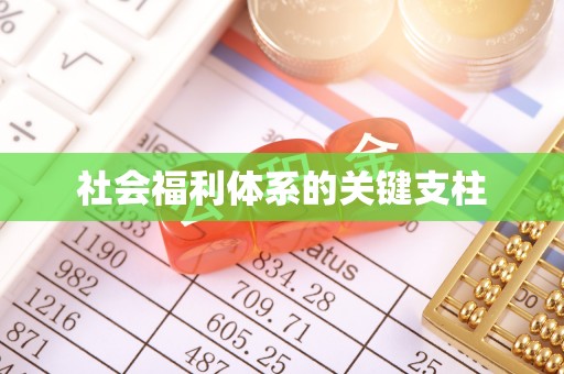 榆中社会福利体系的关键支柱